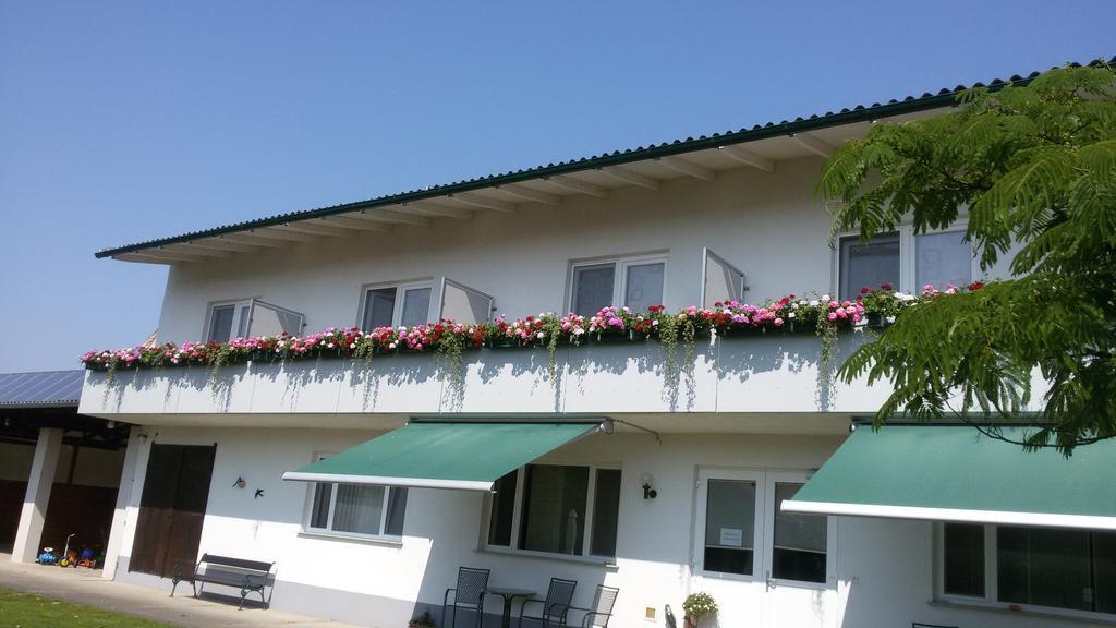 Pension Joseph Haydn Podersdorf am See Rum bild